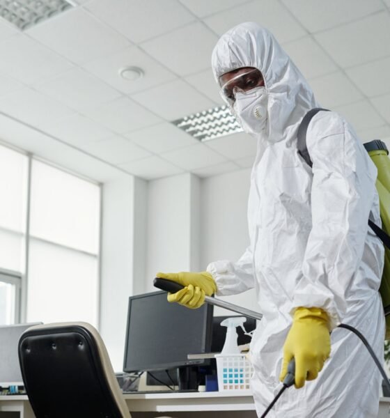 Gulf Horizon Cleaning Services - Pest Control