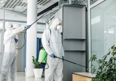 Gulf Horizon Cleaning Services - Pest Control